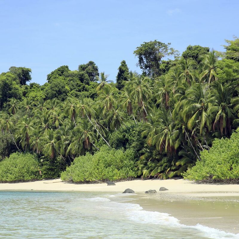 coiba03